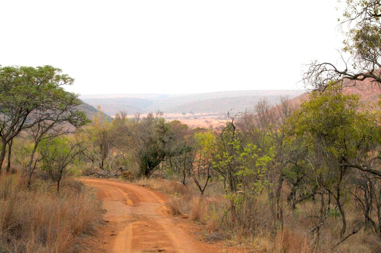 Inzalo Safari Lodge Réserve animalière Welgevonden Extérieur photo