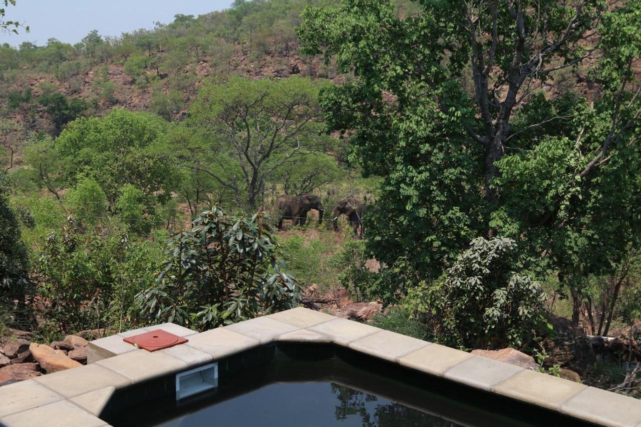 Inzalo Safari Lodge Réserve animalière Welgevonden Extérieur photo